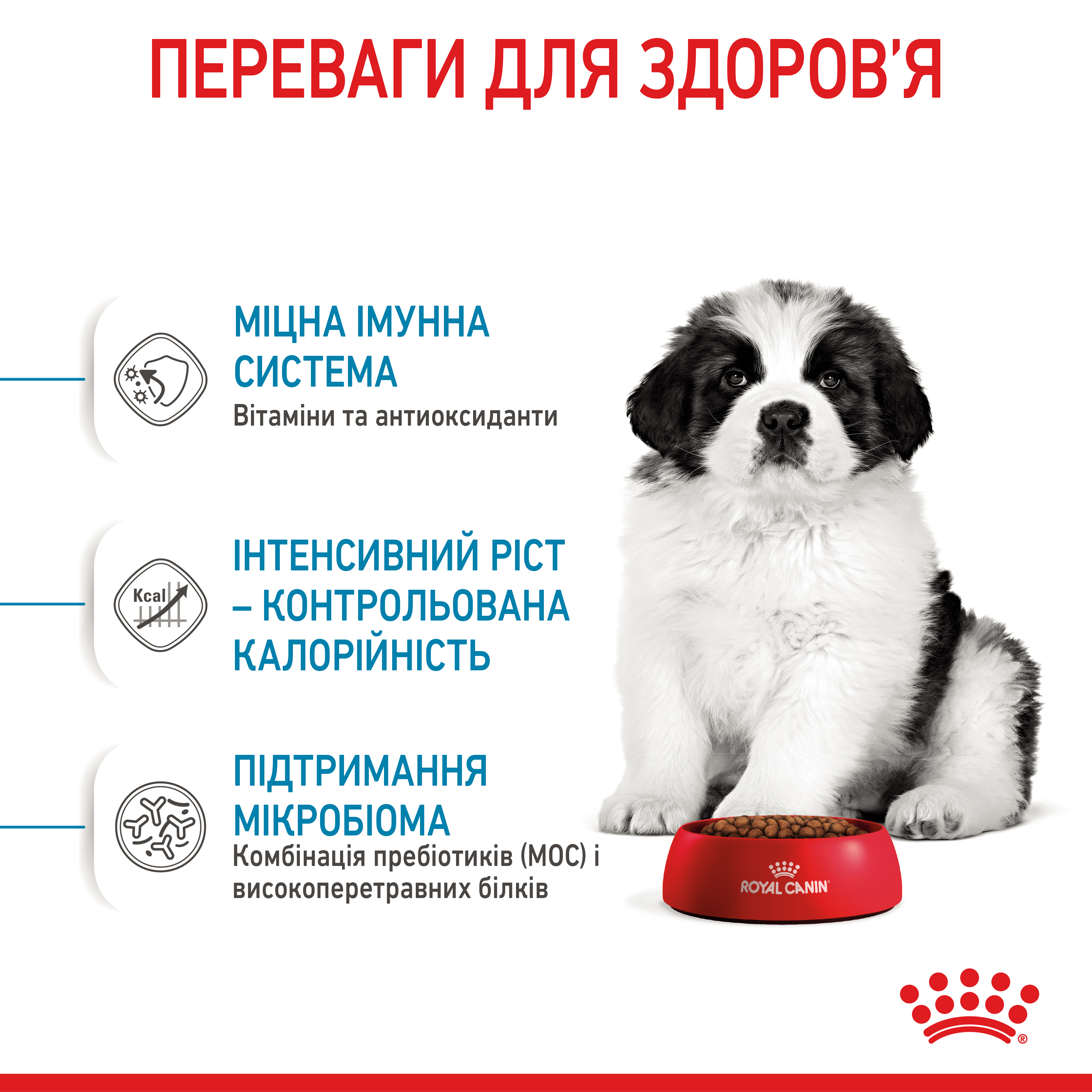 Сухий корм Royal Canin Giant Puppy для цуценят гігантських порід від 2 до 8 місяців 15кг