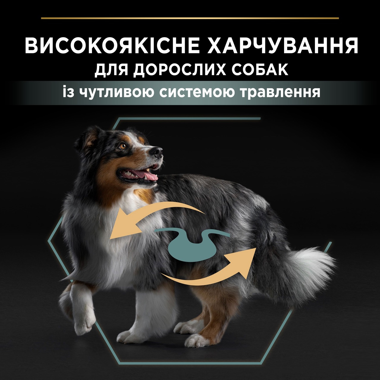 Сухий корм Purina Pro Plan Dog Adult Medium Sensitive Digestion Lamb для собак середніх порід з ягням 3 кг