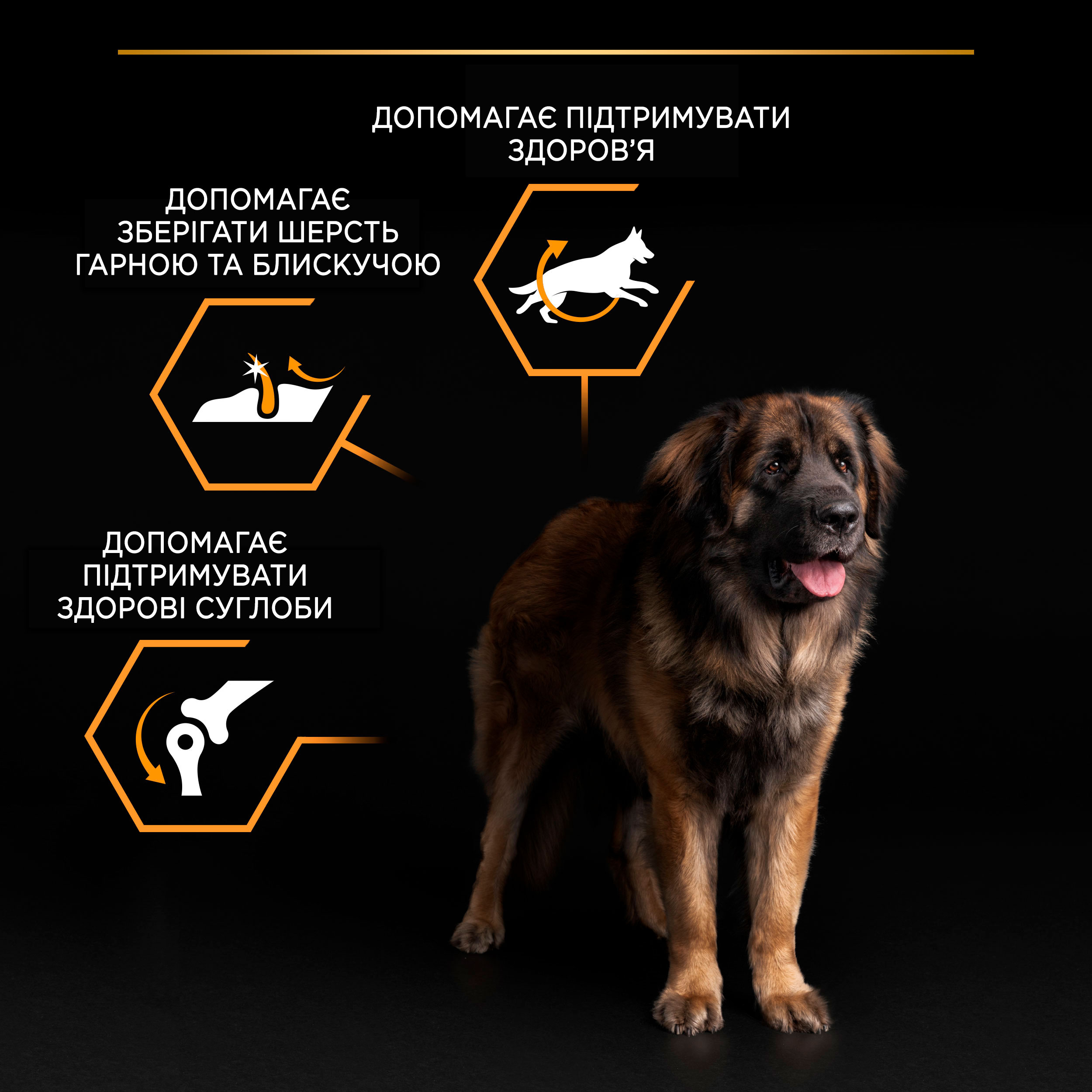 Сухий корм Purina Pro Plan Adult Large Robust для собак великих порід з куркою 14кг