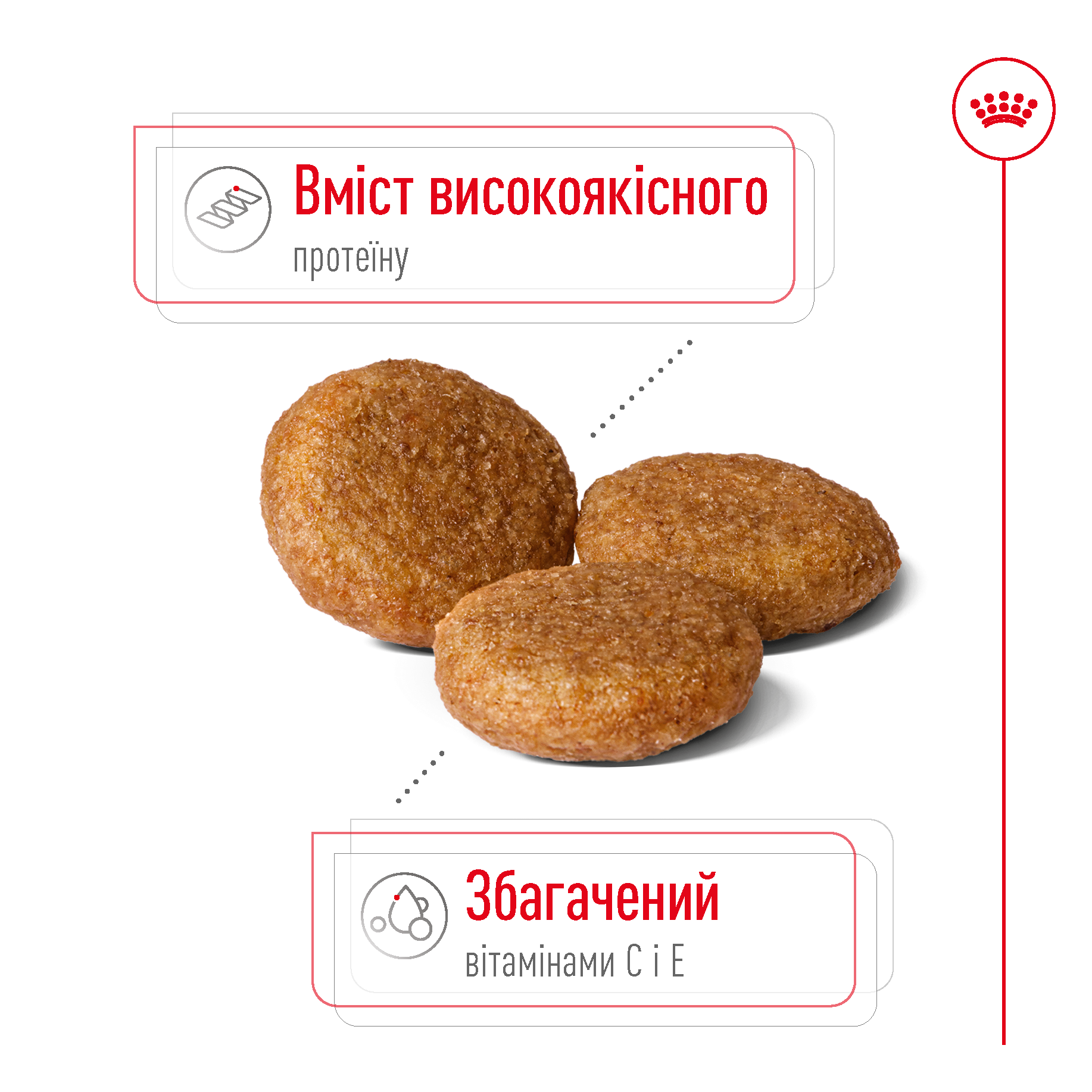 Сухий корм Royal Canin Medium Adult для собак середніх порід 4кг