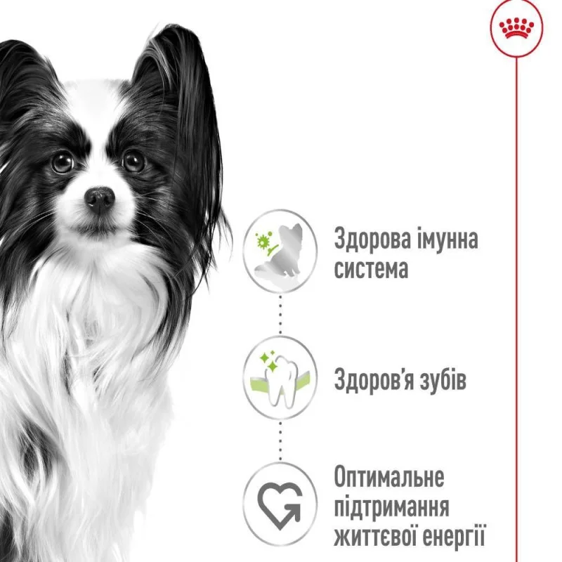 Сухий корм Royal Canin X-Small Adult для собак мініатюрних порід 3кг