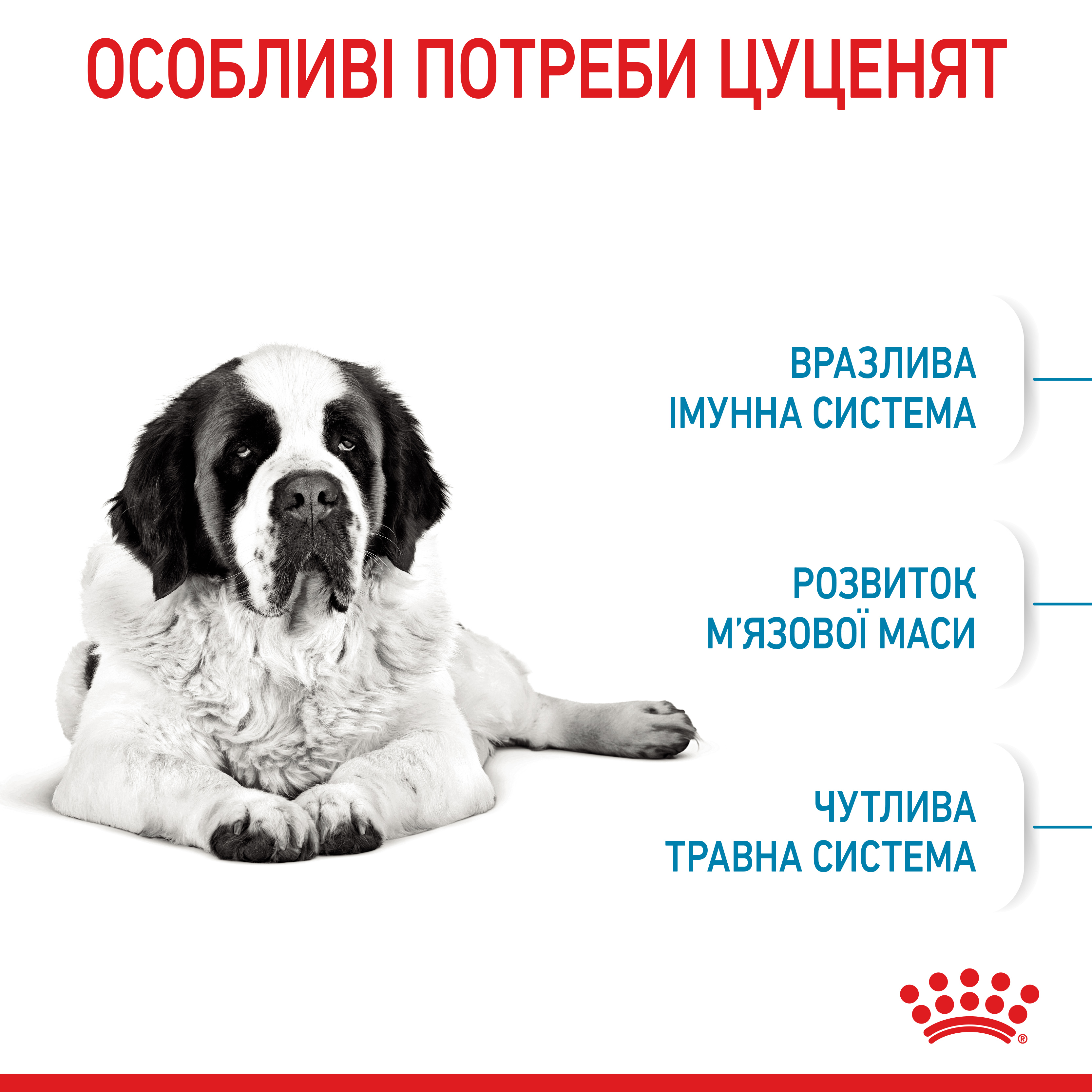 Сухий корм Royal Canin Giant Junior для цуценят гігантських порід 15кг