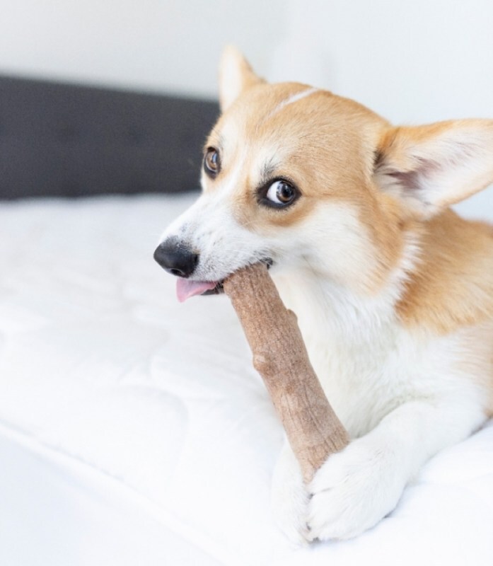 Petstages Dogwood Stick Іграшка для собак Міцна гілка 13,5 см