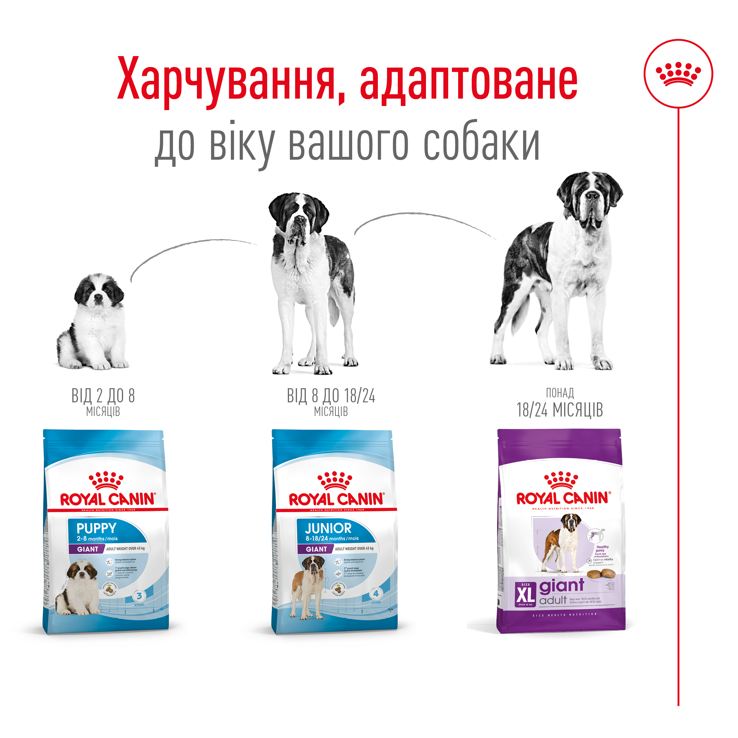 Сухий корм Royal Canin Giant Adult для собак гігантських порід 15кг