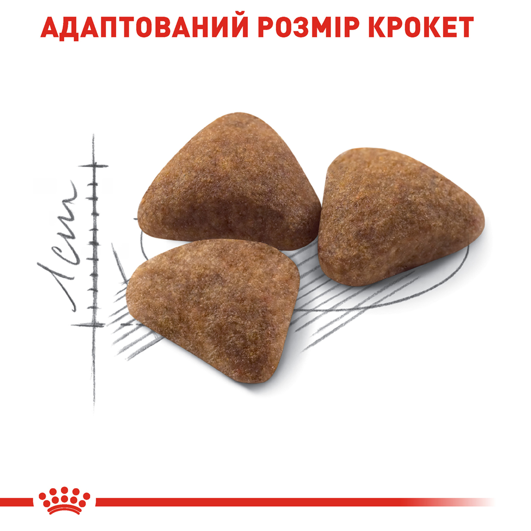Сухий Корм Royal Canin Indoor 27 для домашніх котів 4 кг