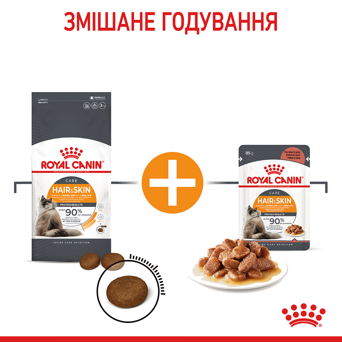 Акція Сухий корм Royal Canin Hair and Skin для котів підтримка здоров'я шкіри і шерсті 1,6 кг+400 г
