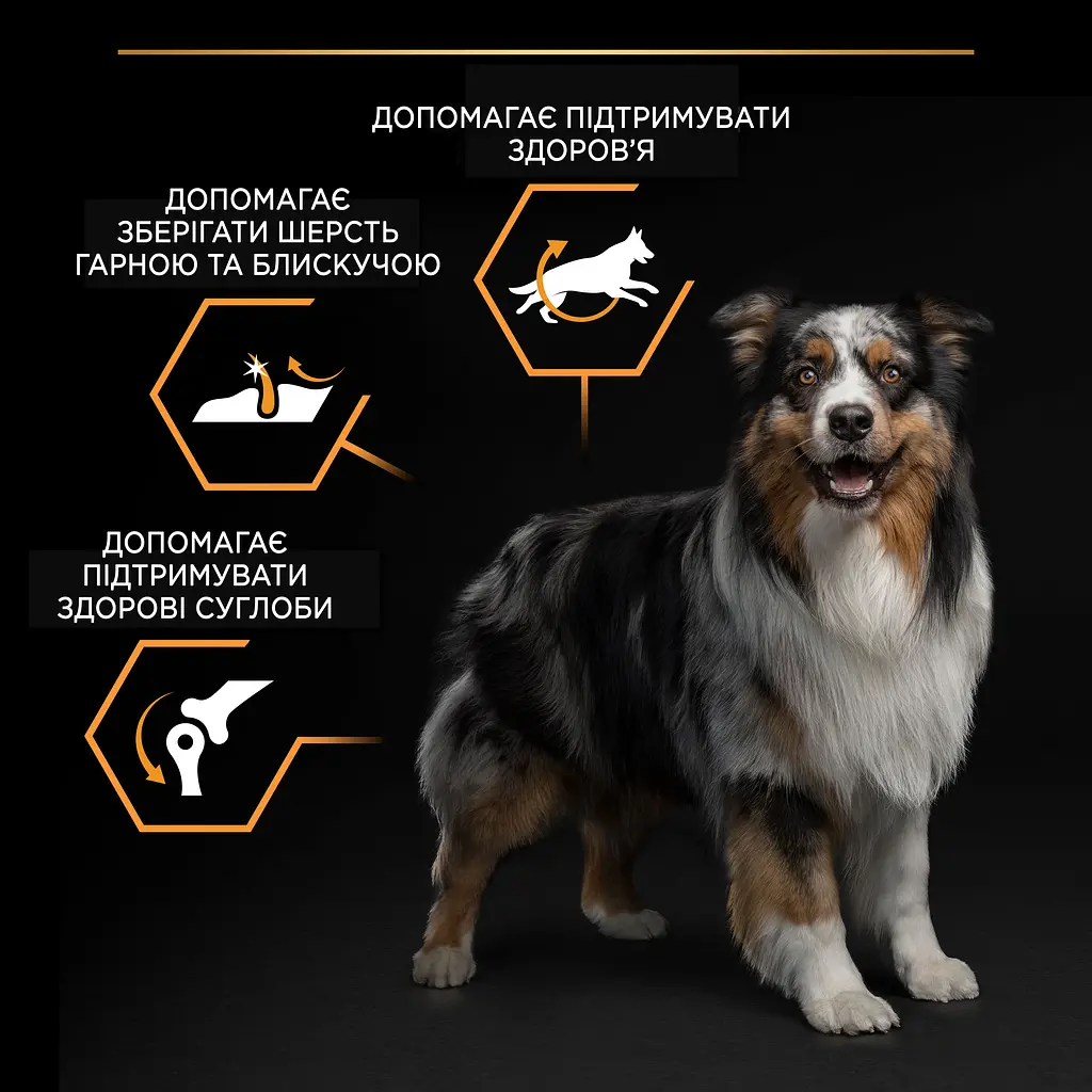 Сухий корм Purina Pro Plan Dog Adult Medium Everyday Nutrition  для собак середніх порід з куркою 14 кг