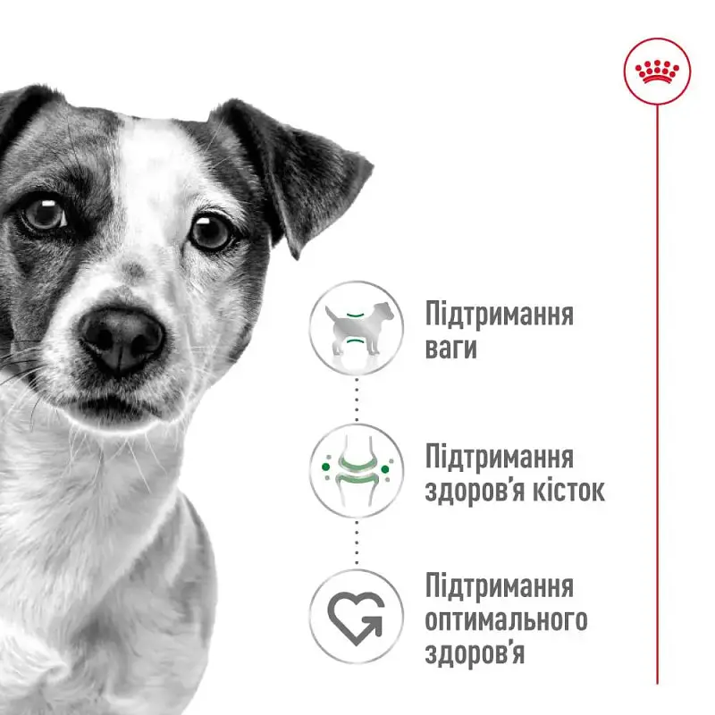 Акція Сухий корм Royal Canin Mini Adult для собак міні порід 1,6 кг+400 г