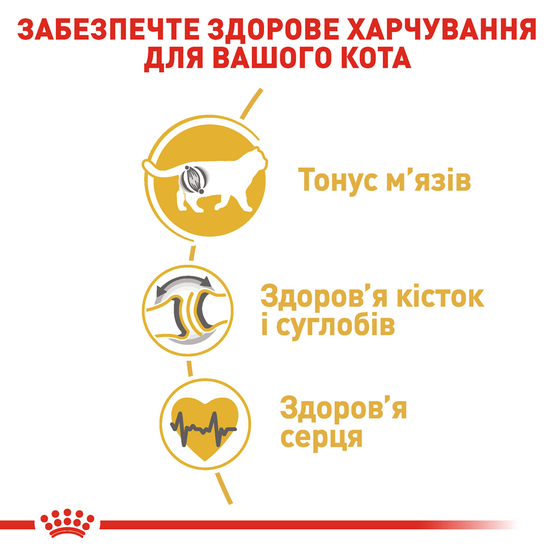 Сухий корм Royal Canin British Shorthair для котів породи Британська короткошерстна 400г