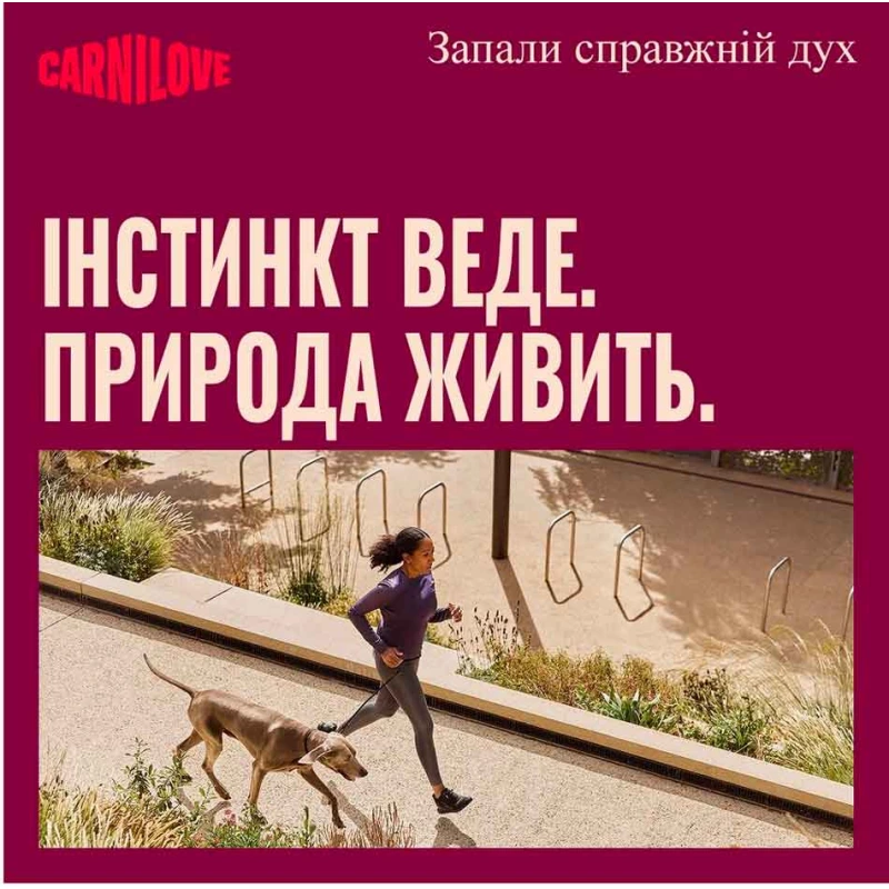 Вологий корм Carnilove Grain Free Dog Adult Lamb & Wild Boar для собак з ягням та диким кабаном,400 г