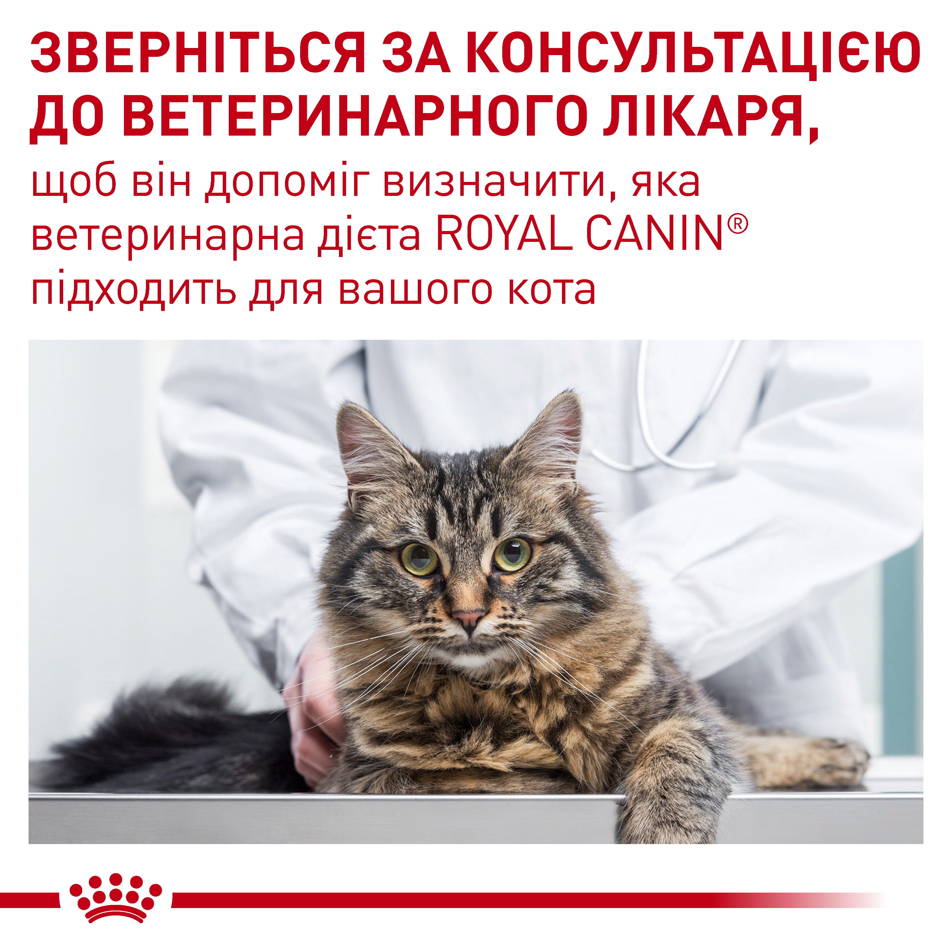 Сухий корм Royal Canin Neutered Satiety Balance для котів стерилізованих контроль ваги 3,5кг