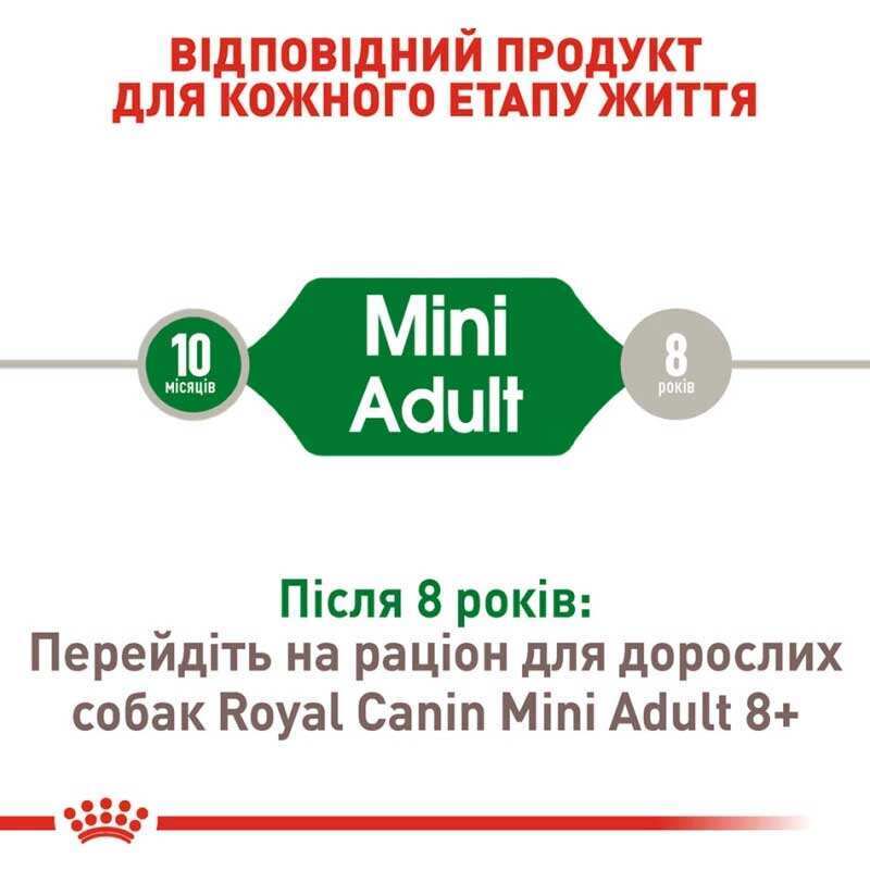 Акція Сухий корм Royal Canin Mini Adult для собак міні порід 1,6 кг+400 г