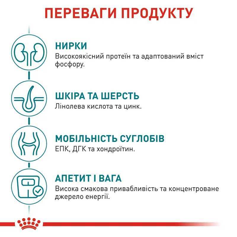 Вологий корм Royal Canin Ageing 11+ для літніх котів, шматочки в соусі,85 г
