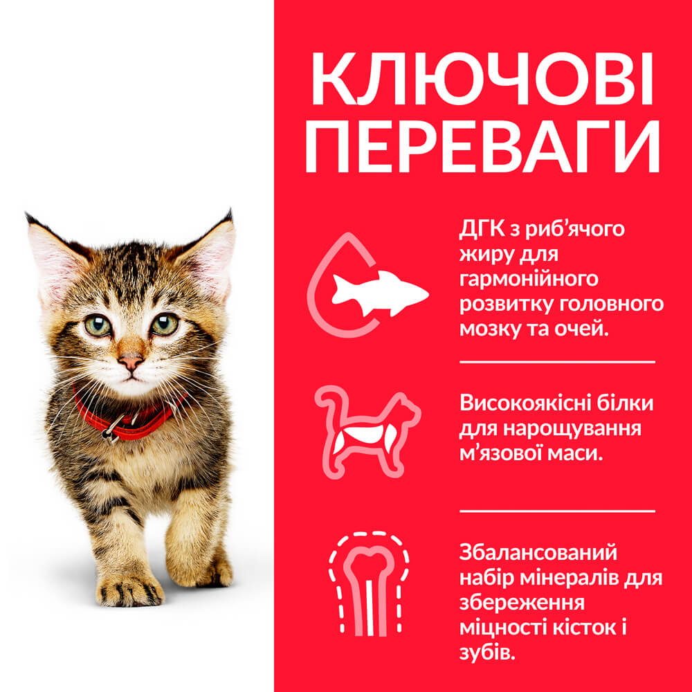 Сухий корм Hill's SP Kitten Chicken для кошенят з куркою 300г