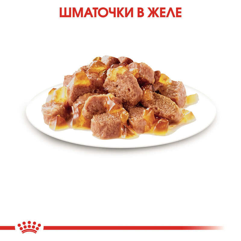 Вологий корм Royal Canin Sterilised in Jelly для стерилізованих котів (шматочки в желе) 85 г