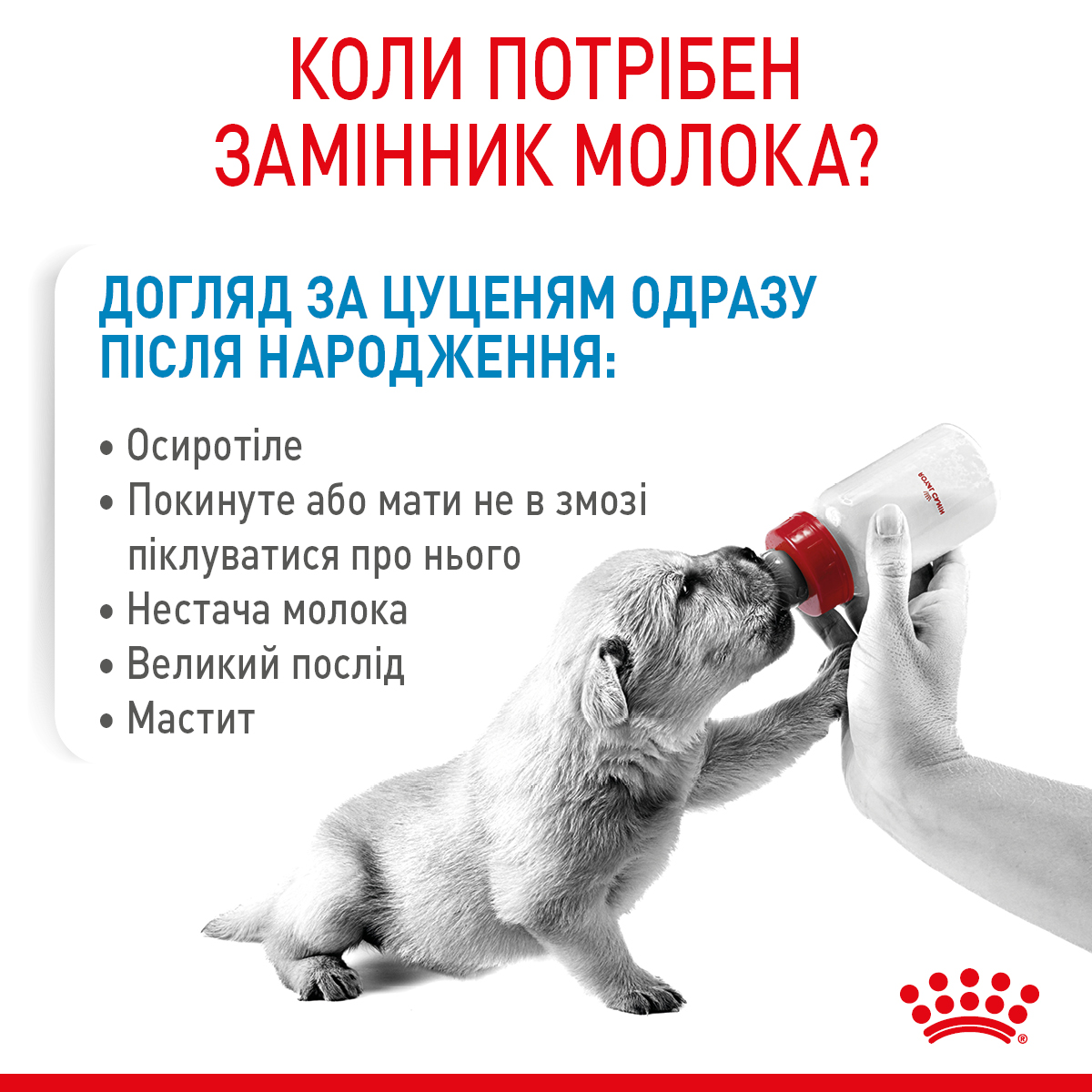 Замінник молока Royal Canin Baby Dog Milk для цуценят 400г