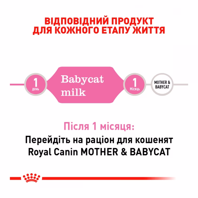 Замінник молока Royal Canin BabyCat Milk для кошенят 300г