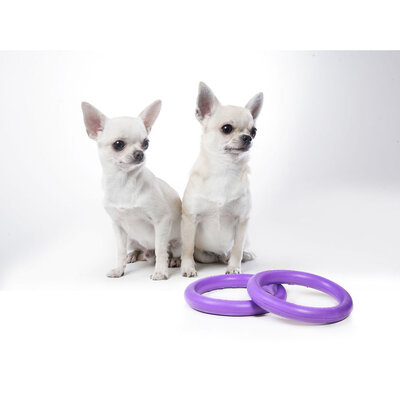 Collar Puller Micro (Пуллер) Тренувальний снаряд для собак мініатюрних порід 12,5 см