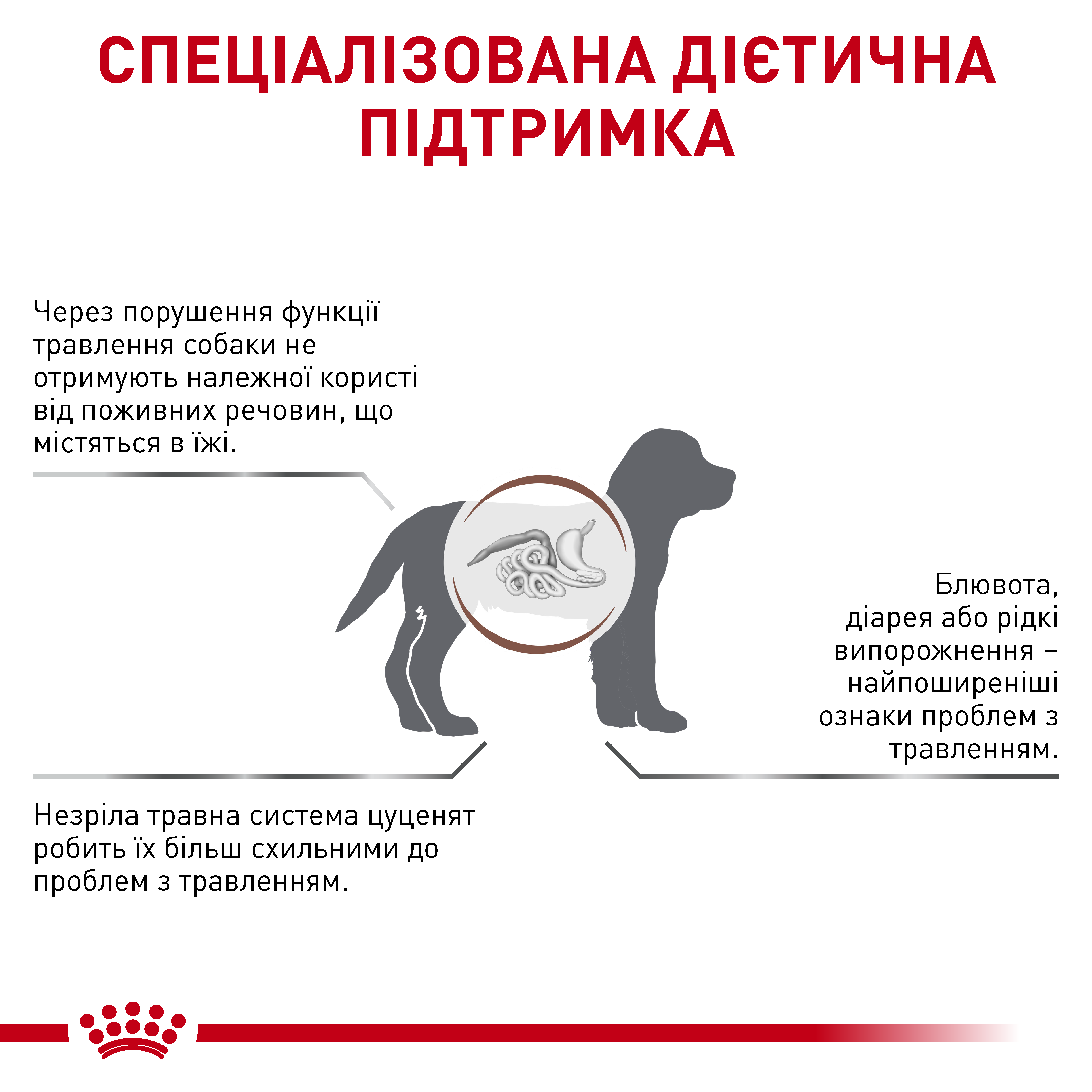 Сухий корм Royal Canin Gastro Intestinal Junior для цуценят при порушеннях травлення 2,5кг