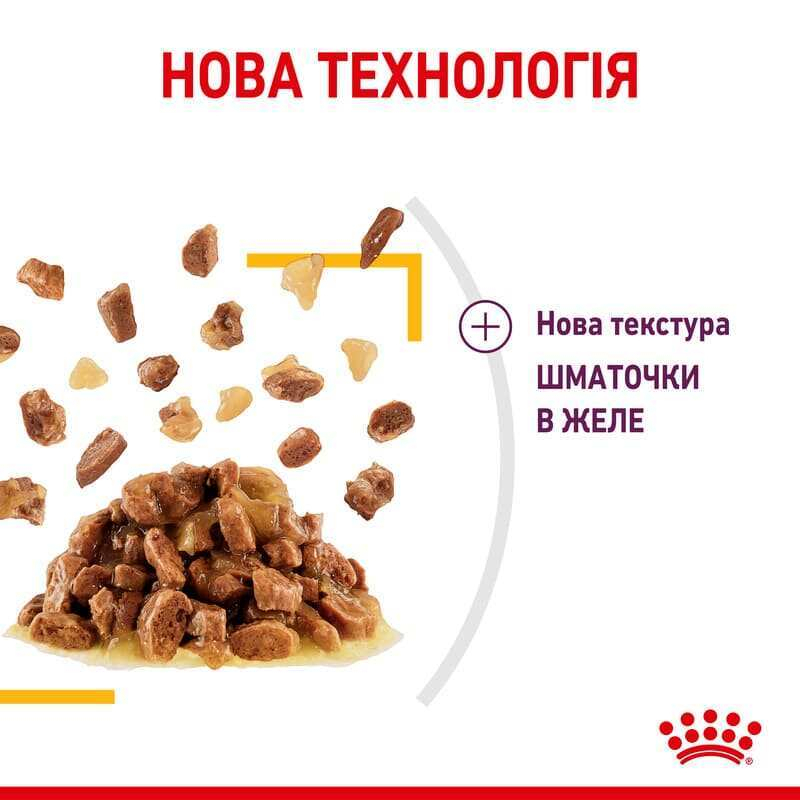 Вологий корм Royal Canin Sensory Taste in Jelly для котів у жиле  для стимуляції смакових рецепторів дорослих улюбленців 85 г