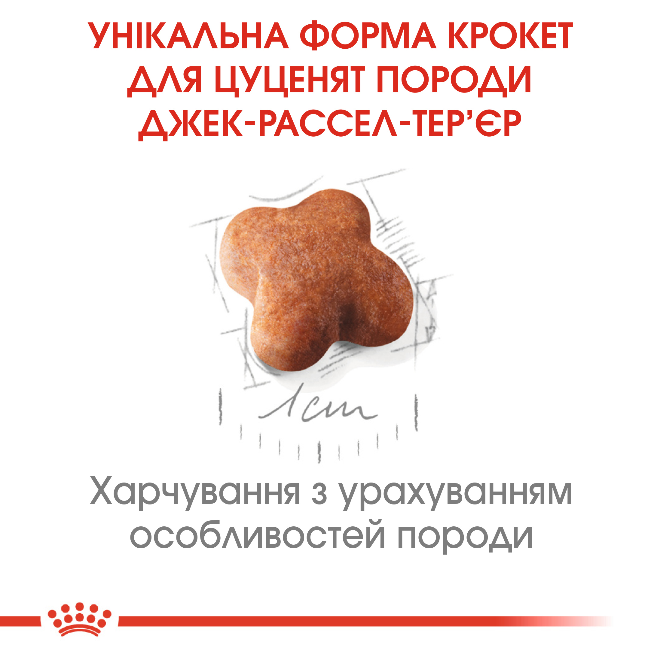 Сухий корм Royal Canin Jack Russel Terrier Junior для цуценят Джек-рассел-тер'єрів 1,5кг