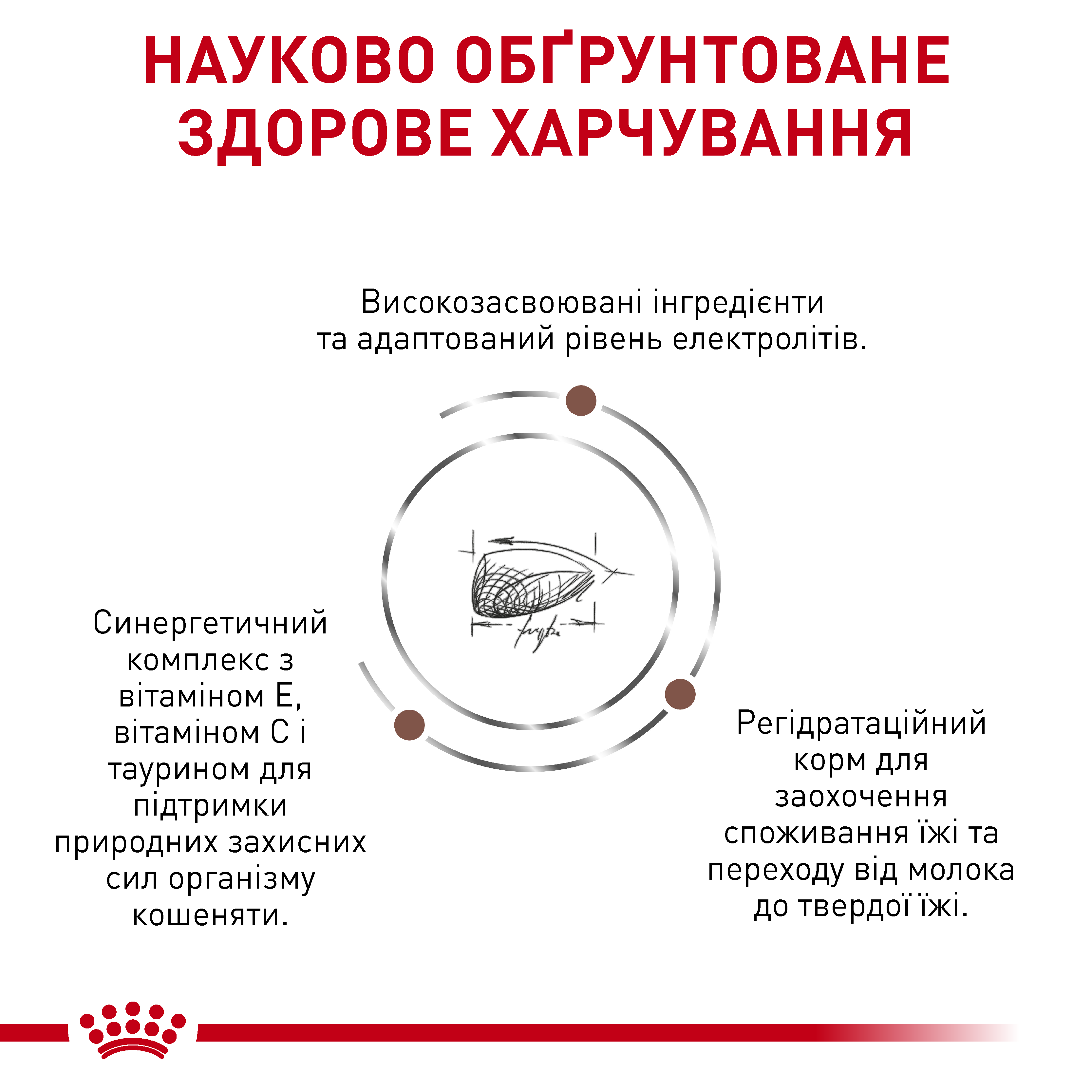 Сухий корм Royal Canin Gastrointestinal Kitten для кошенят при порушеннях травлення 2кг
