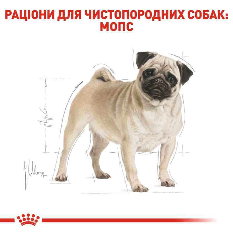 Сухий корм Royal Canin Pug для собак породи Мопс 1,5 кг
