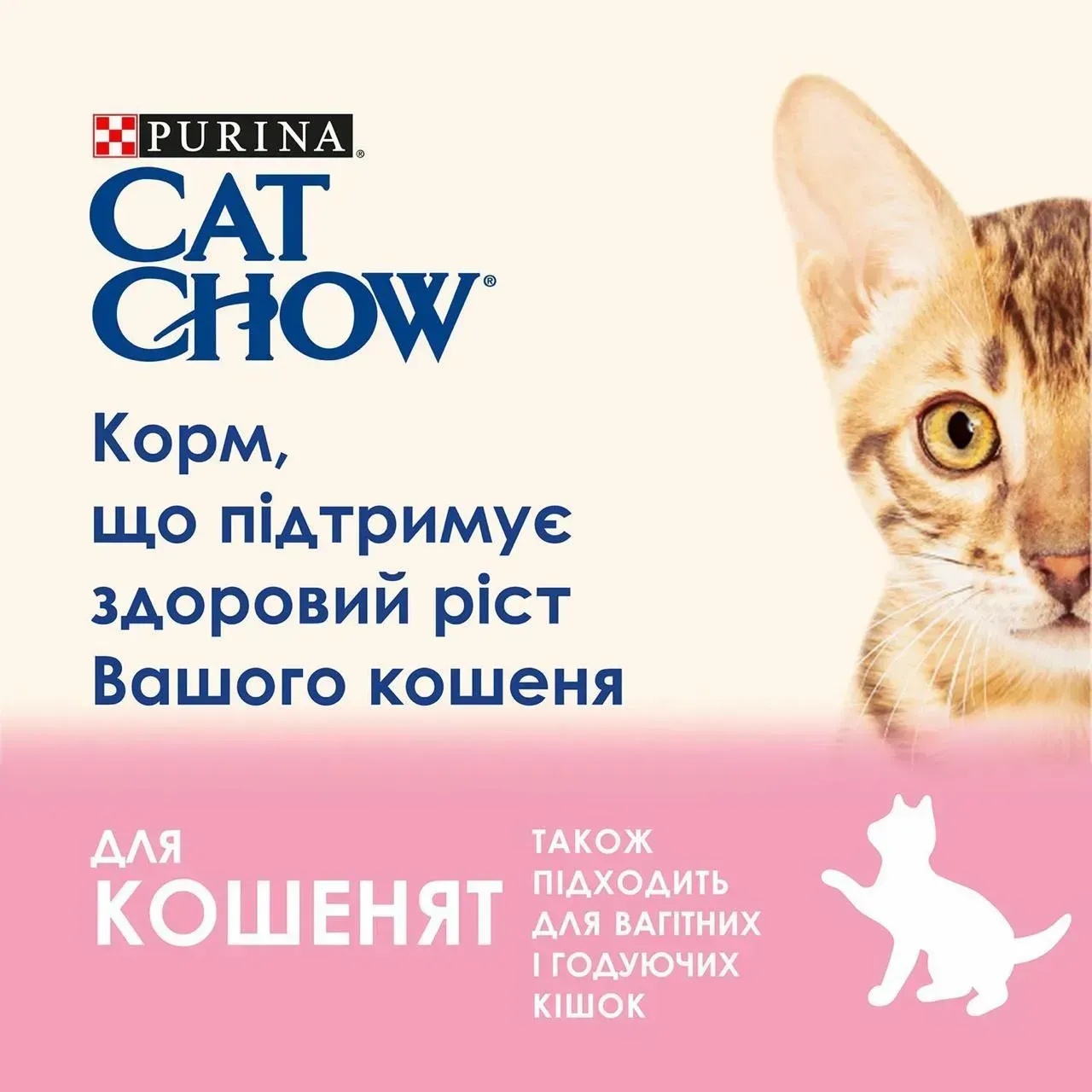 Вологий корм Cat Chow Kitten для кошенят з індичкою та цукіні в желе 85г