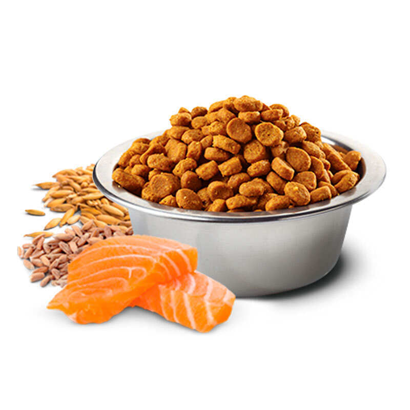 Сухий корм Farmina N&D Tropical Selection Salmon Adult Mini для собак дрібних порід з лососем і тропічними фруктами 1,5 кг