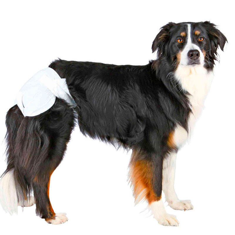 Trixie Diapers for Female Dogs Гігієнічні підгузки для собак S-M,1 шт
