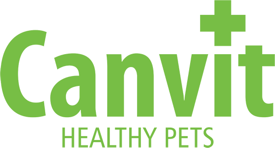 Canvit