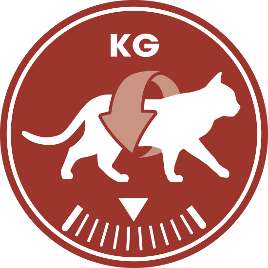 Вологий корм Royal Canin Instinctive in Jelly для котів