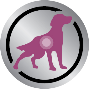Сухий корм Royal Canin Early Cardiac Dog для собак при серцевій недостатності 2кг