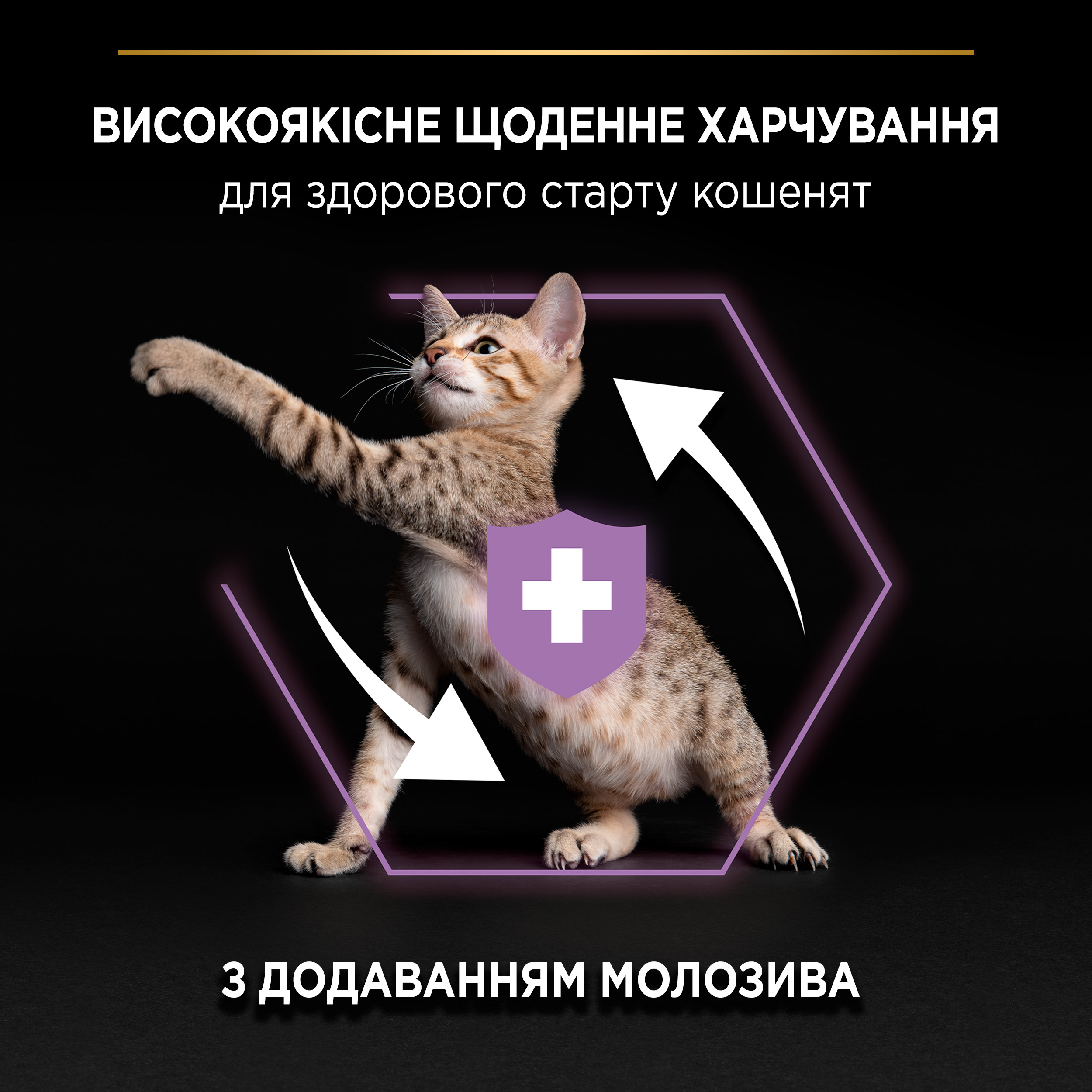 Сухий корм Purina Pro Plan Kitten для кошенят з куркою 400г