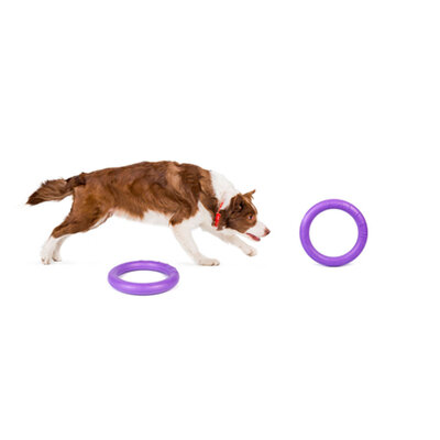 Collar Puller Midi (Пуллер) Тренувальний снаряд для середніх порід собак 19,5 см