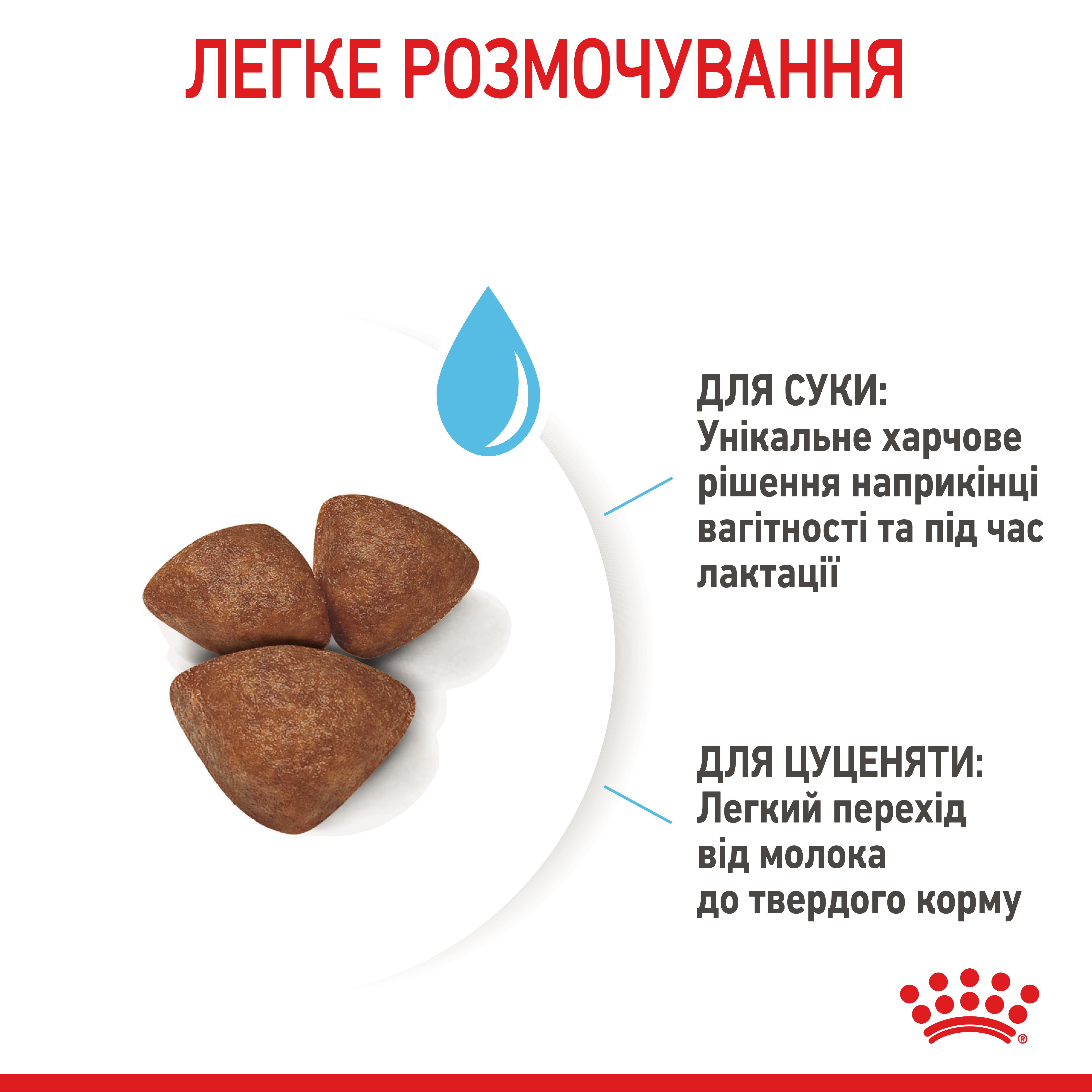 Сухий корм Royal Canin Mini Starter для цуценят дрібних порід стартовий 1кг