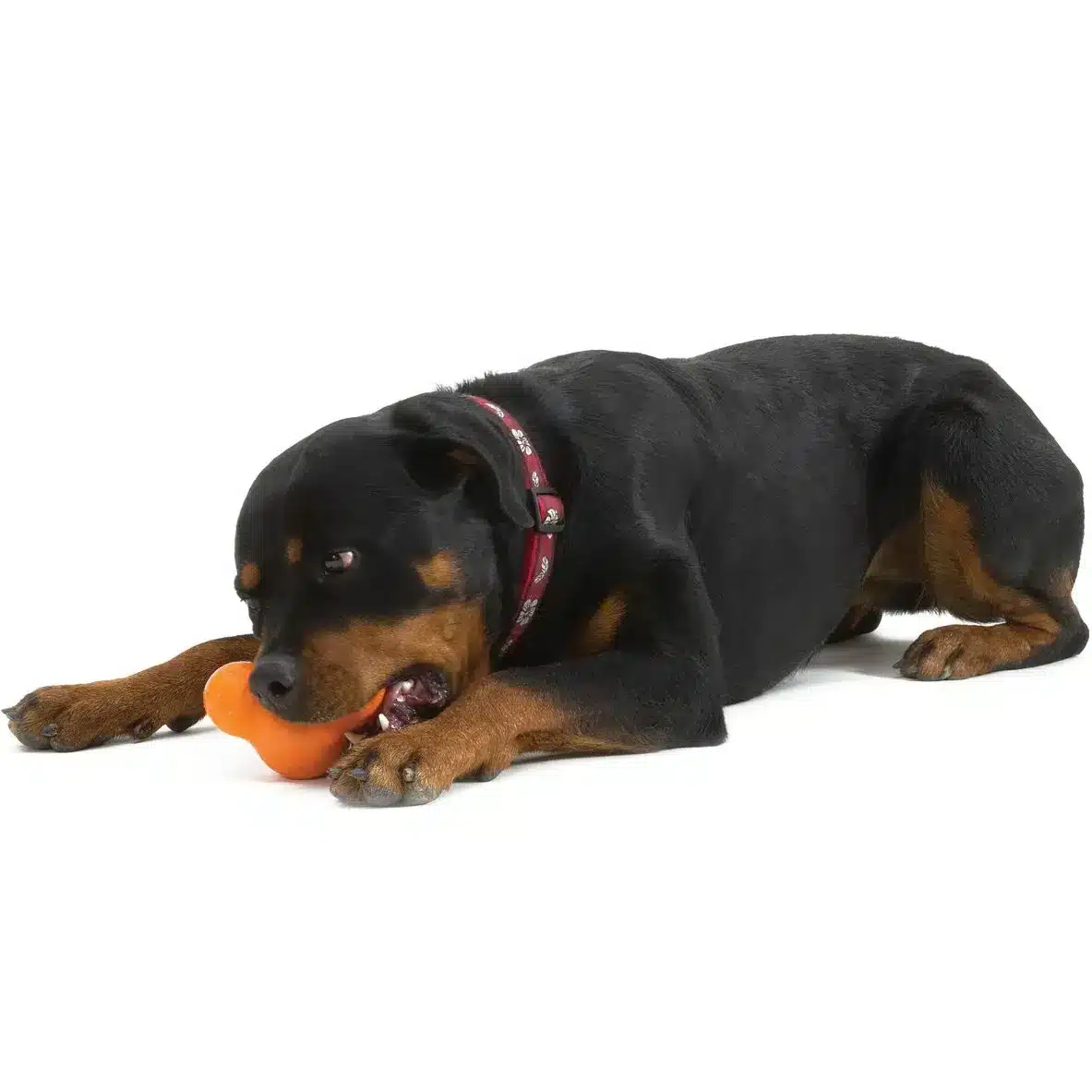 West Paw Tux Treat Toy Іграшка для собак помаранчева 13 см