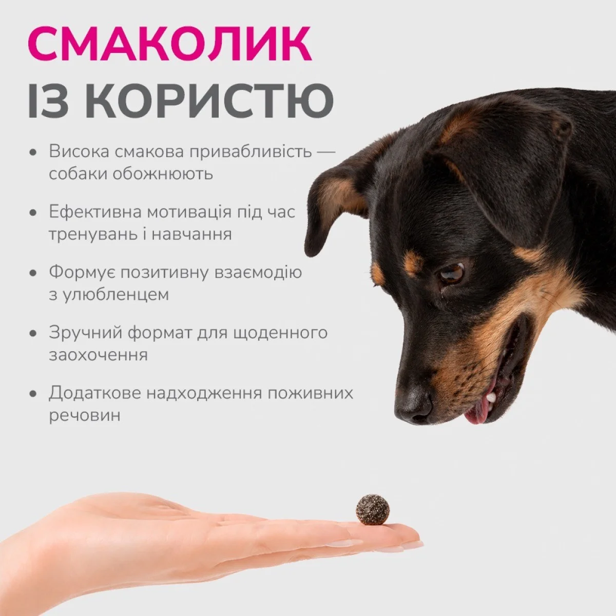 Ласощі LK Baits Pet Nutrigo Treat Rabbit для собак середніх порід з кроликом та яловичим соусом,150 г