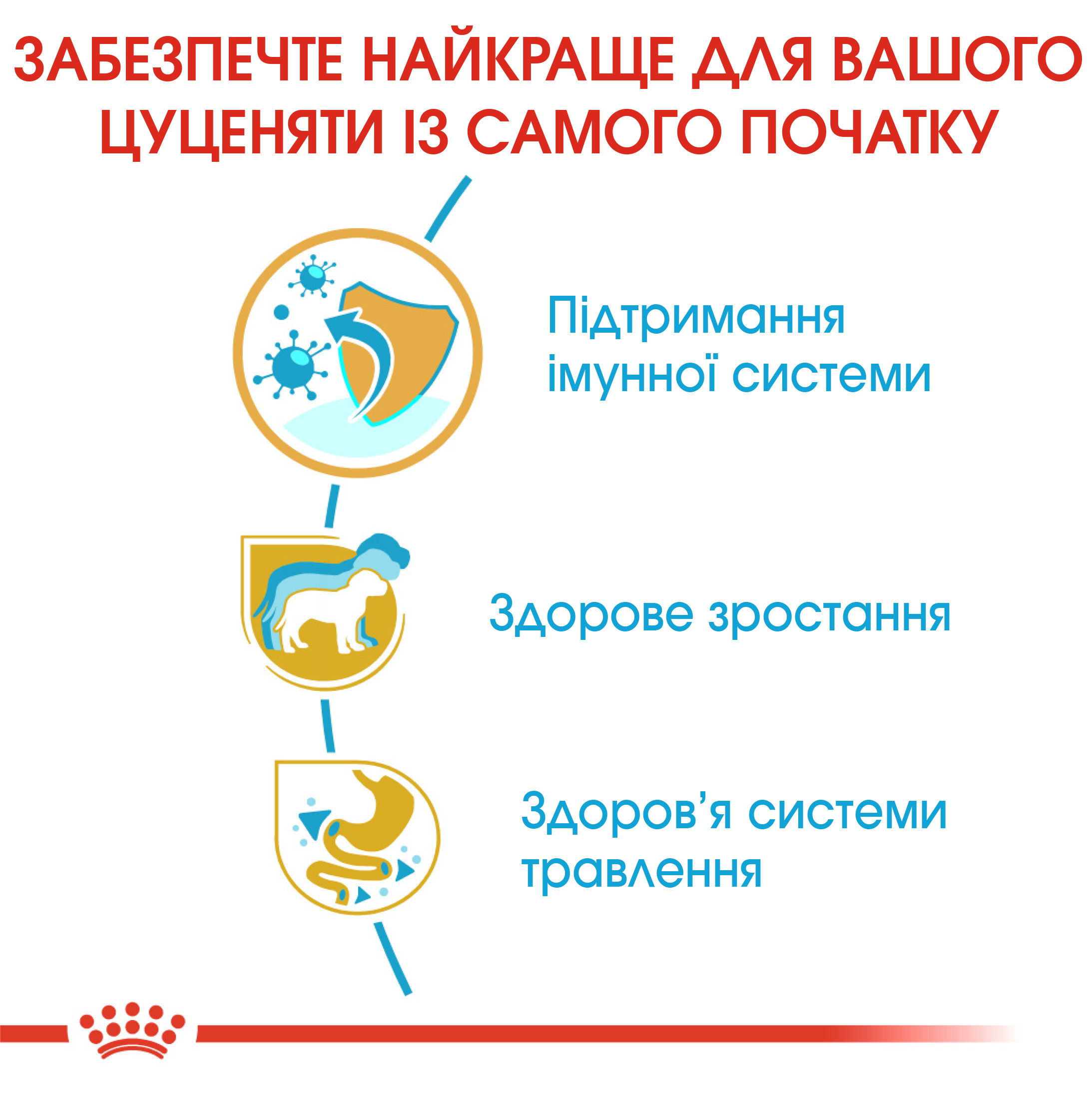 Сухий корм Royal Canin Jack Russel Terrier Junior для цуценят Джек-рассел-тер'єрів 1,5кг