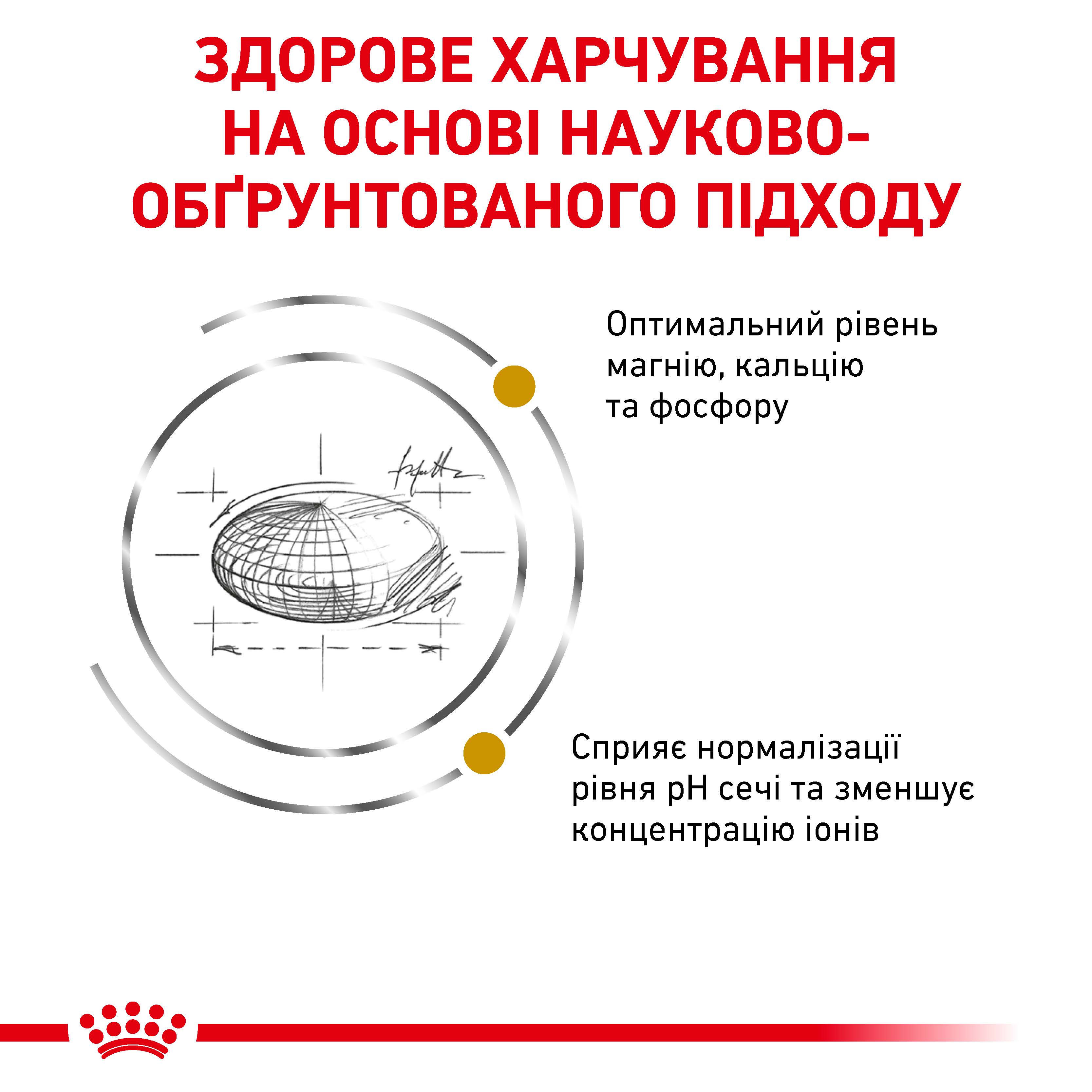 Сухий корм Royal Canin Urinary S/O для котів при захворюваннях сечовивідних шляхів 400 г