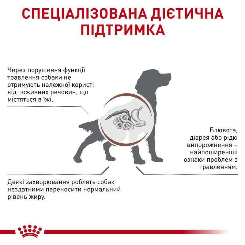 Сухий корм Royal Canin Gastro Intestinal Low Fat для собак,при порушеннях травлення,зі зниженою жирністю 6 кг
