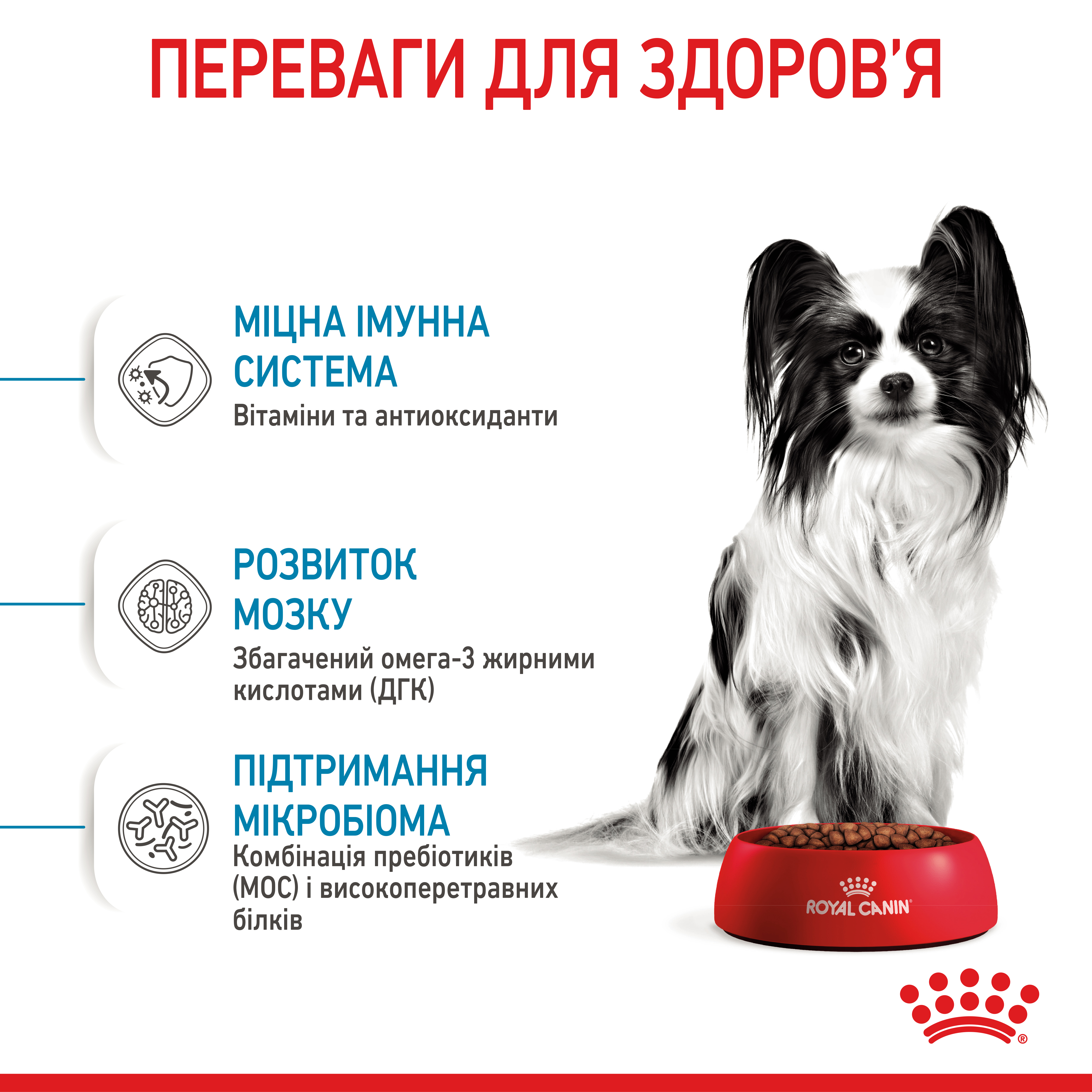 Сухий корм Royal Canin X-Small Puppy для цуценят мініатюрних порід 500г