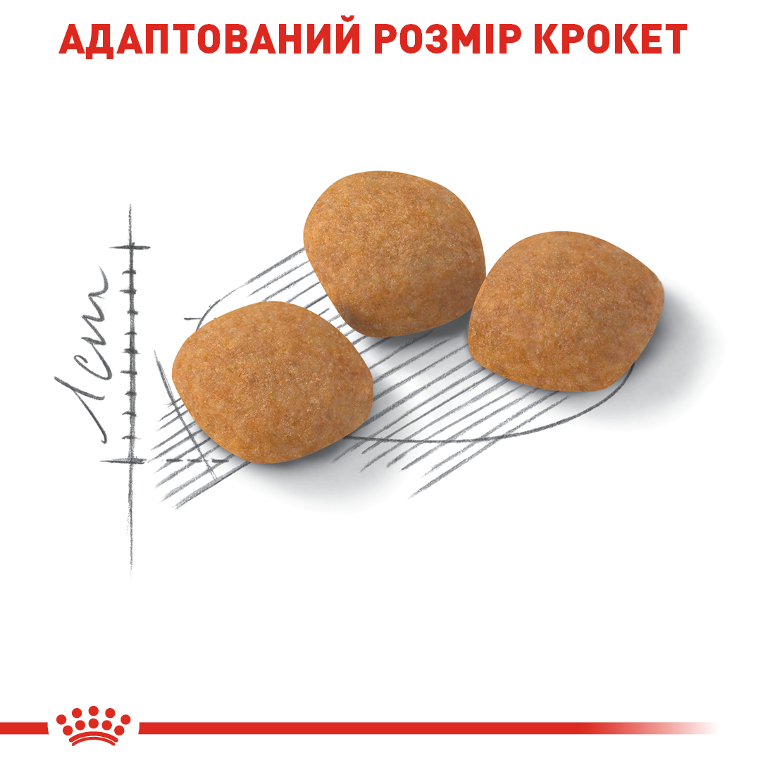 Сухий корм Royal Canin Exigent Savour Sensation для вибагливих до смаку котів 400г