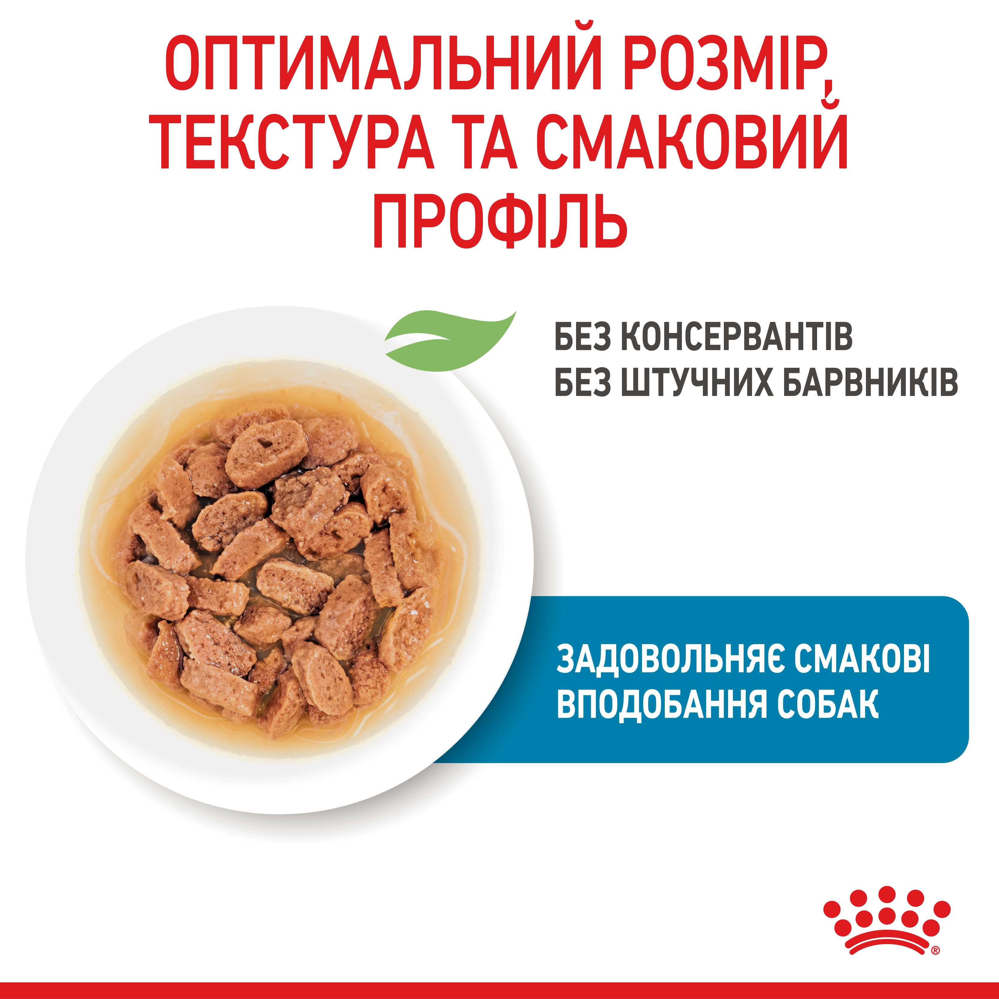 Вологий корм Royal Canin Mini Puppy для цуценят дрібних порід