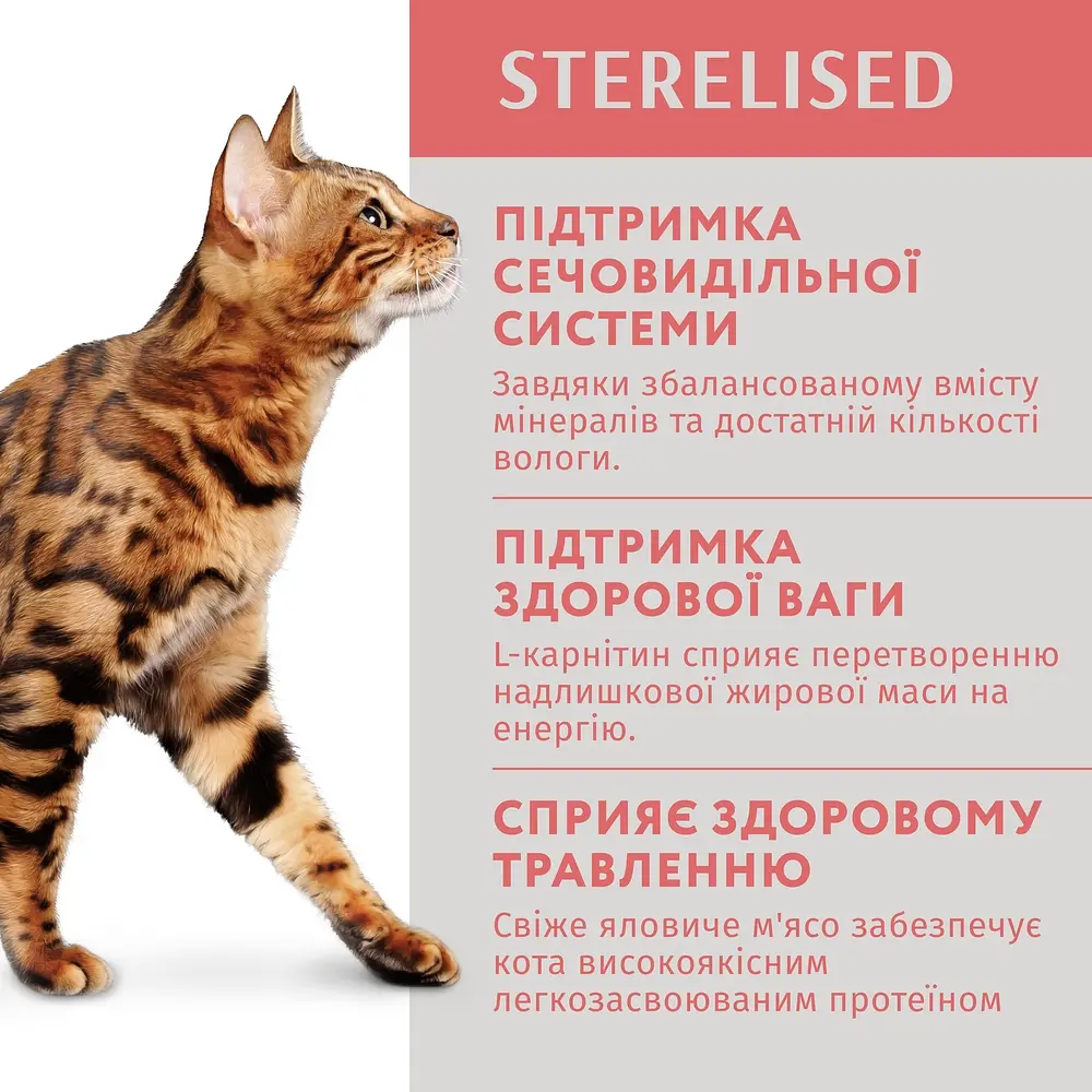 Вологий корм OptiMeal Adult Cats Sterilised для стерилізованих котів з яловичиною та філе індички в желе 85 г