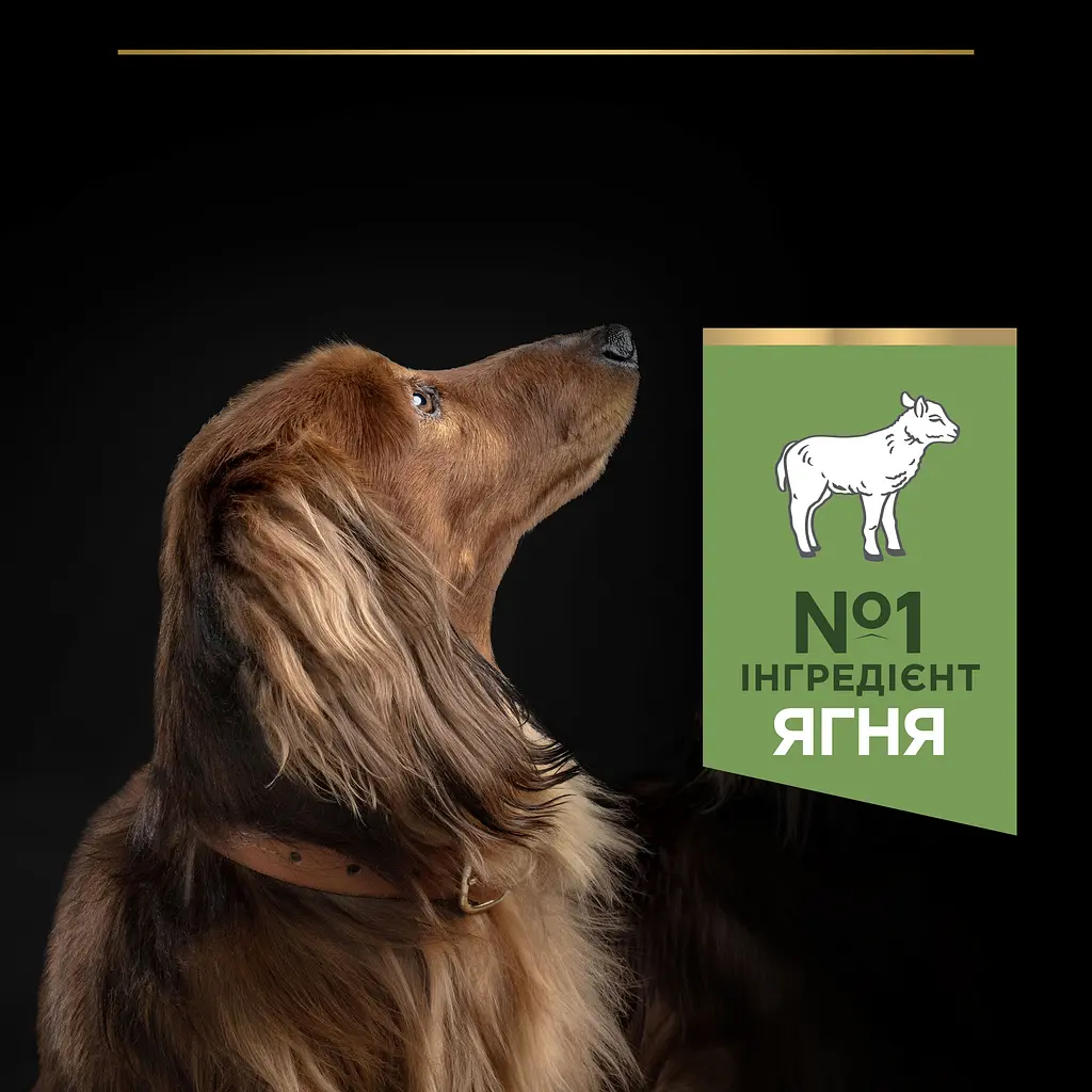 Сухий корм Purina Pro Plan Dog Adult Small & Mini Sensitive Digestion Lamb для собак дрібних порід з ягням,700 г
