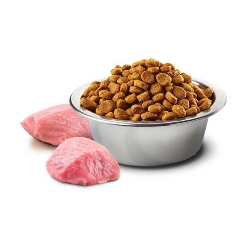 Сухий корм Farmina N&D Pumpkin Grain Free Dog Adult Mini Lamb & Blueberry для собак дрібних порід з ягням, гарбузом та чорницею 2,5 кг