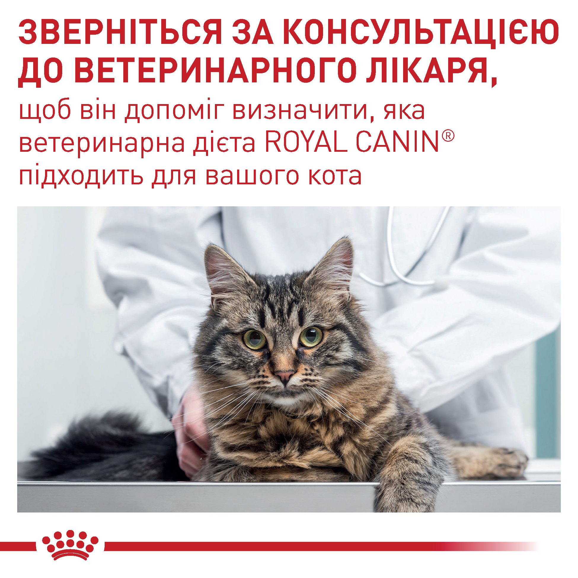 Вологий корм Royal Canin VCN Wet Neutered Weight Balance для стерилізованих котів