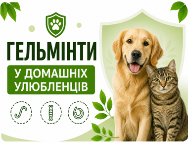 Картинка новости