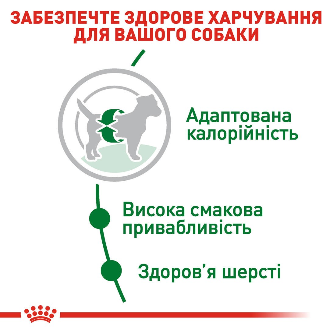Сухий корм Royal Canin Mini Adult для собак міні порід 800г